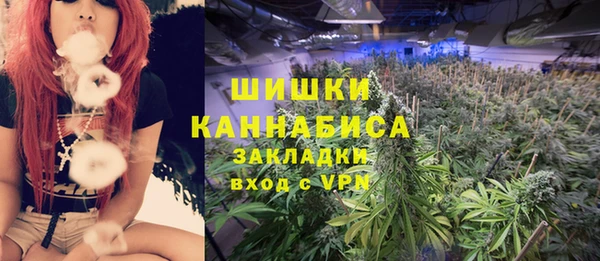 apvp Алзамай