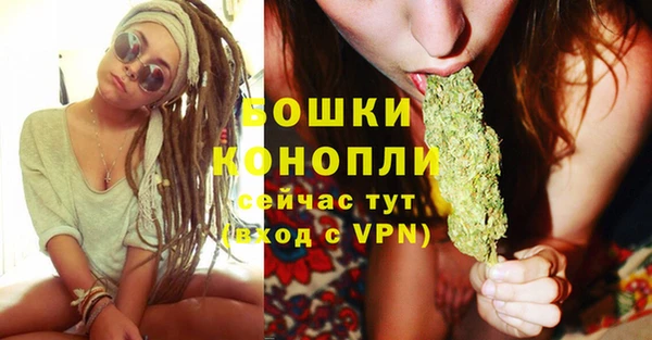стафф Вяземский