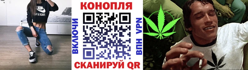 МАРИХУАНА планчик Лебедянь